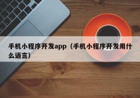 手机小程序开发app（手机小程序开发用什么语言）