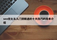 seo优化从入门到精通的十大技巧的简单介绍