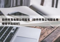 软件开发有限公司起名（软件开发公司取名用哪些字比较好）