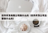 软件开发有限公司做什么的（软件开发公司主要做什么的）